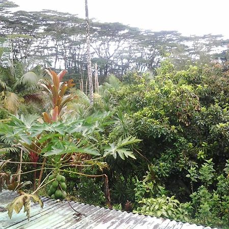 Lava Tree Tropic Inn Pahoa Exterior foto
